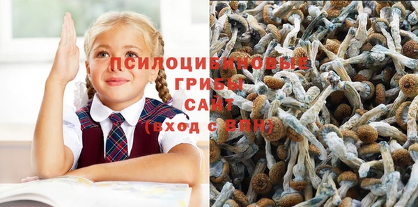гидропоника Алексин